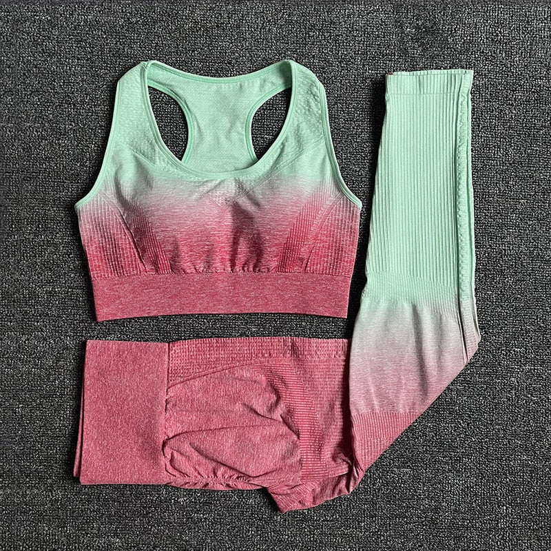 Conjunto Fitness feminino para treino e qualquer tipo de atividade Física.