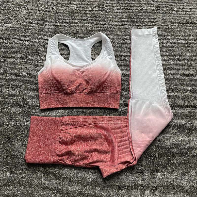 Conjunto Fitness feminino para treino e qualquer tipo de atividade Física.